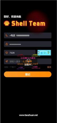 海外荷兰皇家壳牌理财投资系统源码