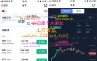 某站6000元的交易所合约/区块链区块链 完整无缺整站打包，行情正常