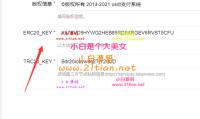 USDT支付系统/自动回调/区块链支付/区块链支付/对接钱包自动充值回调