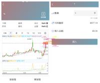 香港股票源码/大宗交易与新股申购系统源码/全套视频教程