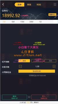 【玖胜第二版】最新另一个版本玖胜/多语言/带跟单/带杠杆/MT4/带简易文字教程