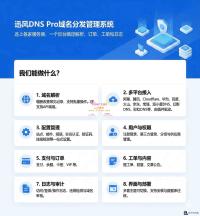 迅风DNS Pro V2.3.3 二级域名分发系统源码