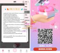 9语言自动抢单刷单源码