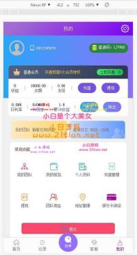 京东拼多多淘宝唯品会商城自动抢单系统源码