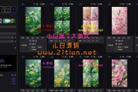 TBWeb正式稳定版V3.4.0+AI+MJ绘画+免授权无后门+详细安装教程