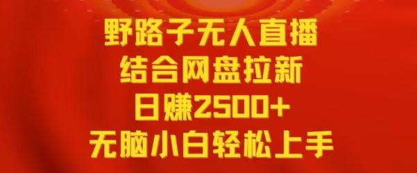 野路子无人直播结合网盘拉新，日赚2500+，小白无脑轻松上手【揭秘】-源码天堂