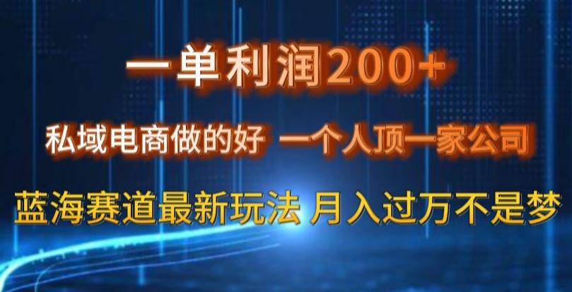 一单利润200私域电商做的好，一个人顶一家公司蓝海赛道最新玩法【揭秘】-源码天堂