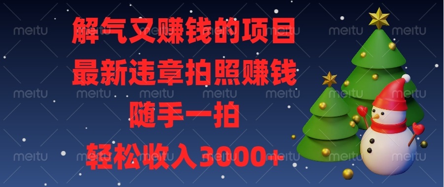 解气又赚钱的项目，最新违章拍照赚钱，随手一拍，轻松收入3000+-源码天堂