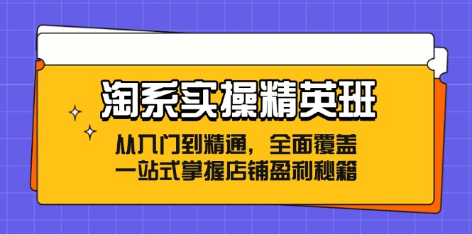 淘系实操精英班：从入门到精通，全面覆盖，一站式掌握店铺盈利秘籍-源码天堂