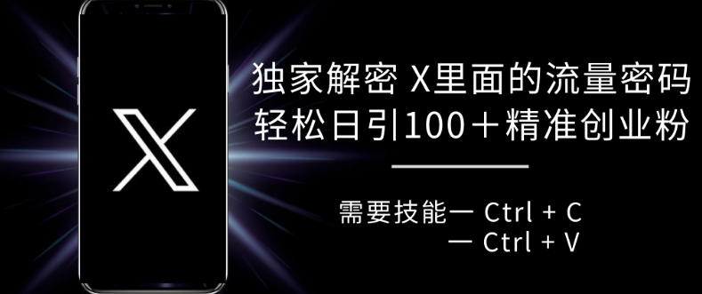 独家解密 X 里面的流量密码，复制粘贴轻松日引100+-源码天堂