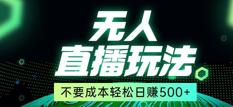 全网首发24年最新无人直播玩法，不需要成本，无需人力，一台电脑24小时为你工作-源码天堂