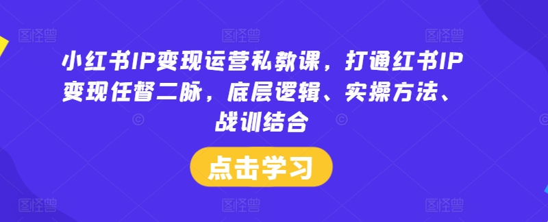 小红书IP变现运营私教课，打通红书IP变现任督二脉，底层逻辑、实操方法、战训结合-源码天堂