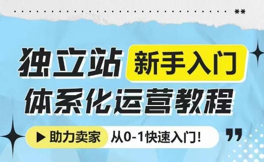 独立站新手入门体系化运营教程，助力独立站卖家从0-1快速入门!-源码天堂