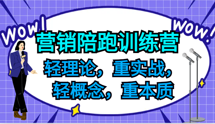 营销陪跑训练营，轻理论，重实战，轻概念，重本质，适合中小企业和初创企业的老板-源码天堂