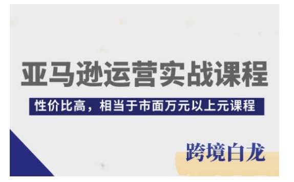 亚马逊运营实战课程，亚马逊从入门到精通，性价比高，相当于市面万元以上元课程-源码天堂