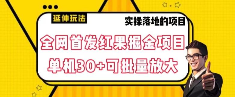 全网首发红果免费短剧掘金项目，单机30+可批量放大【揭秘】-源码天堂