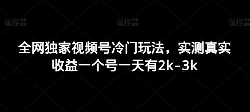 全网独家视频号冷门玩法，实测真实收益一个号一天有2k-3k-源码天堂