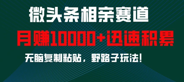微头条相亲赛道，迅速积累，无脑复制粘贴，野路子玩法，月入1w-源码天堂