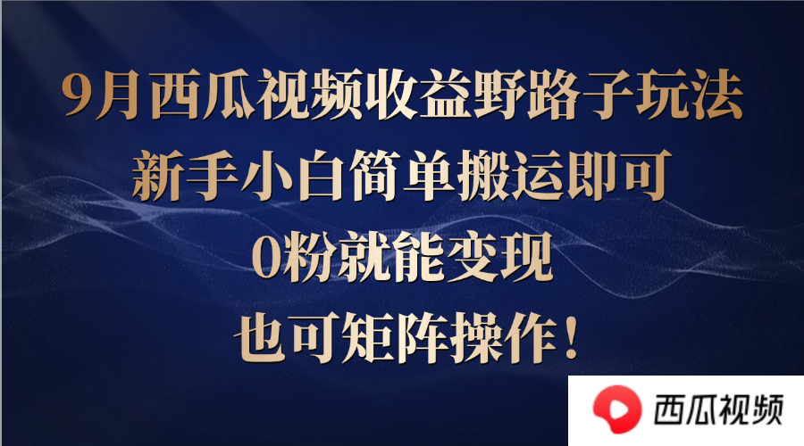 西瓜视频收益野路子玩法，新手小白简单搬运即可，0粉就能变现，也可矩…-源码天堂