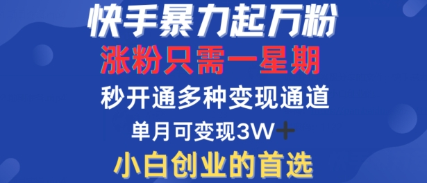 快手暴力起万粉，涨粉只需一星期，多种变现模式，直接秒开万合，单月变现过W【揭秘】-源码天堂