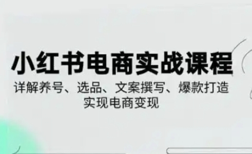小红书从0-1实操课(2023-2025)，详解养号、选品、文案撰写、爆款打造实现电商变现-源码天堂