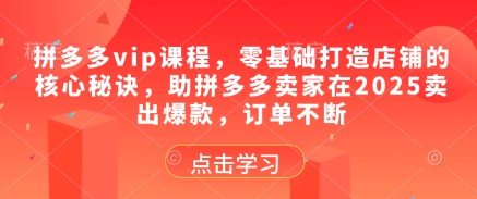 拼多多vip课程，零基础打造店铺的核心秘诀，助拼多多卖家在2025卖出爆款，订单不断-源码天堂