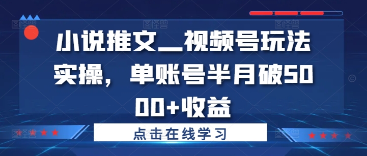小说推文—视频号玩法实操，单账号半月破5000+收益-源码天堂
