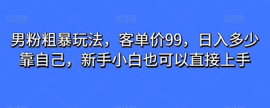 男粉粗暴玩法，客单价99，日入多少靠自己，新手小白也可以直接上手-源码天堂