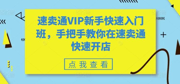 速卖通VIP新手快速入门班，手把手教你在速卖通快速开店-源码天堂