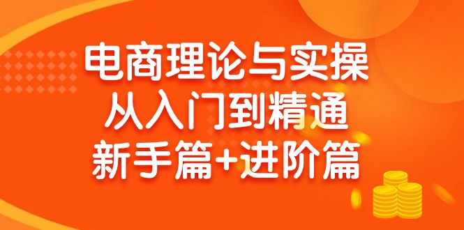 (9576期)电商理论与实操从入门到精通 新手篇+进阶篇-源码天堂