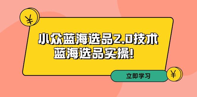 拼多多培训第33期：小众蓝海选品2.0技术-蓝海选品实操！-源码天堂