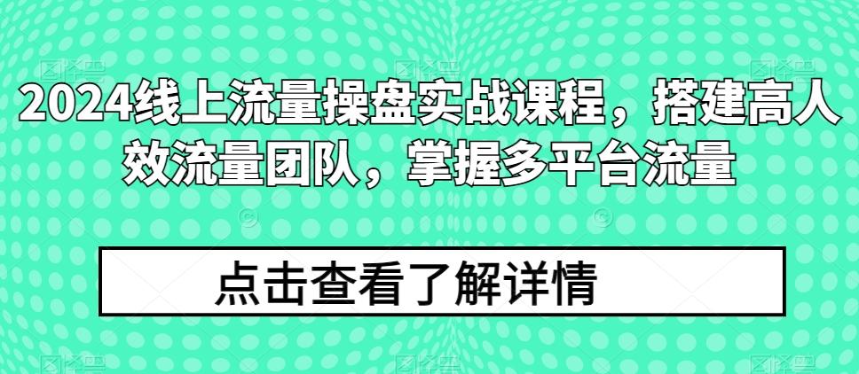 2024线上流量操盘实战课程，搭建高人效流量团队，掌握多平台流量-源码天堂