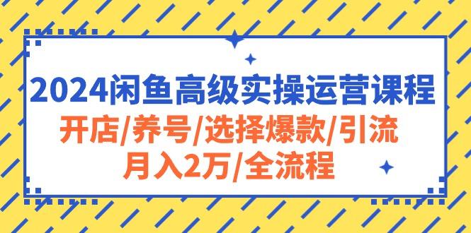 2024闲鱼高级实操运营课程：开店/养号/选择爆款/引流/月入2万/全流程-源码天堂