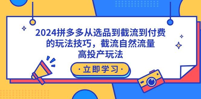 2024拼多多从选品到截流到付费的玩法技巧，截流自然流量玩法，高投产玩法-源码天堂