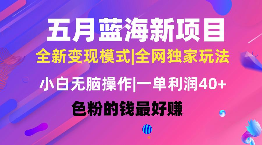 五月蓝海项目全新玩法，小白无脑操作，一天几分钟，矩阵操作，月入4万+-源码天堂