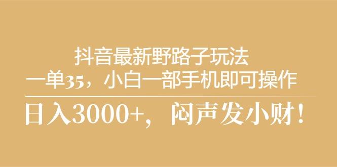 抖音最新野路子玩法，一单35，小白一部手机即可操作，，日入3000+，闷…-源码天堂