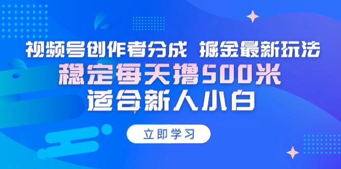 【蓝海项目】视频号创作者分成 掘金最新玩法 稳定每天撸500米 适合新人小白-源码天堂