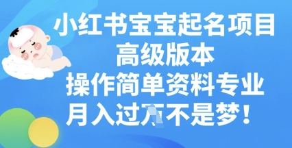 小红书宝宝起名项目高级版本，操作简单，资料专业，月入过W-源码天堂
