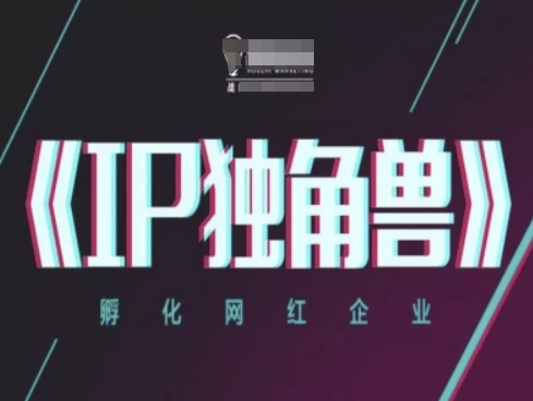 IP独角兽，孵化网红企业，ip教程-源码天堂