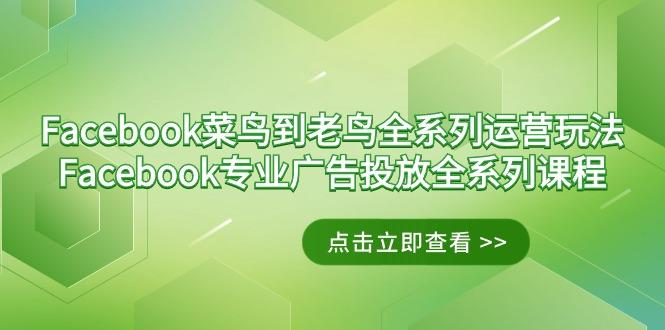 Facebook-菜鸟到老鸟全系列运营玩法+Facebook-专业广告投放全系列课程-源码天堂
