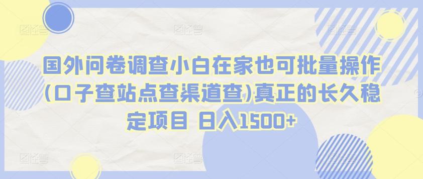 国外问卷调查小白在家也可批量操作(口子查站点查渠道查)真正的长久稳定项目 日入1500+【揭秘】-源码天堂