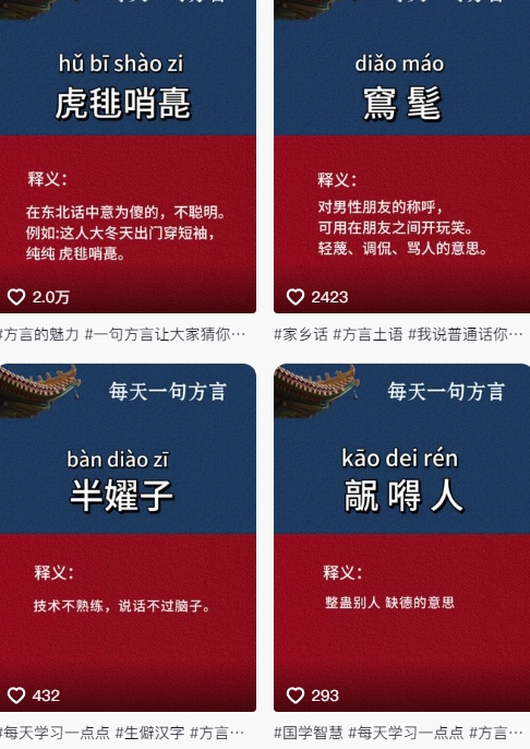 抖音最新涨粉玩法，图文方言暴力涨粉实操，126作品涨粉11W-源码天堂