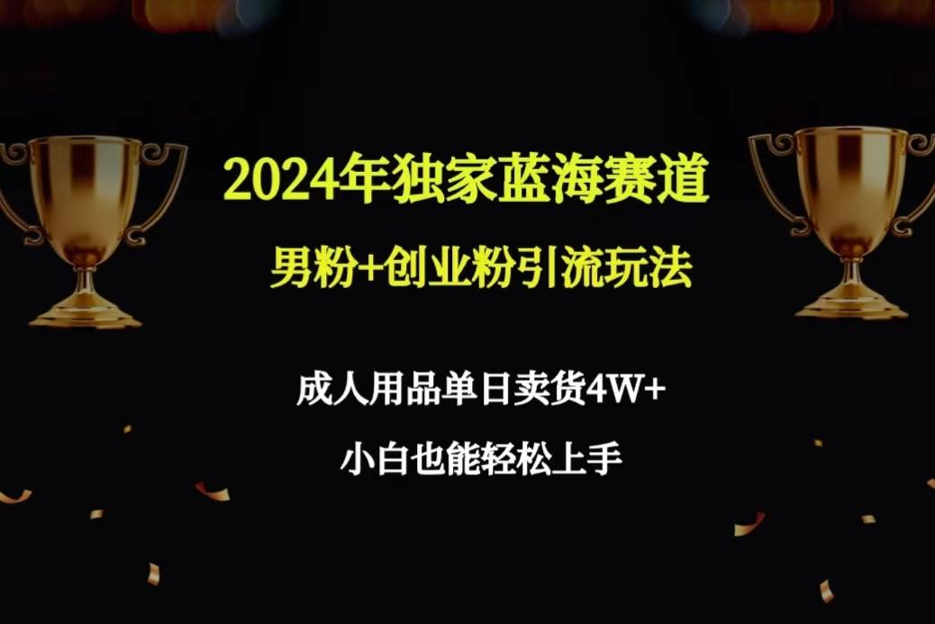 2024年独家蓝海赛道男粉+创业粉引流玩法，成人用品单日卖货4W+保姆教程-源码天堂