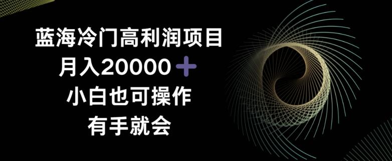 蓝海冷门高利润项目月入2000，小白也可操作有手就会-源码天堂