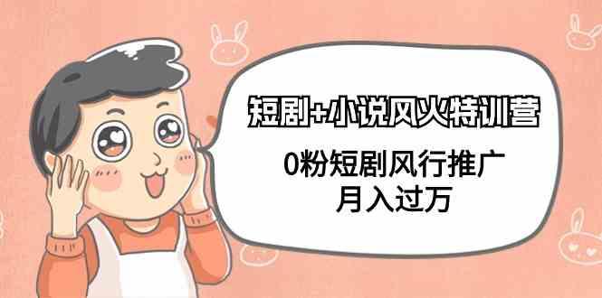 小说+短剧风火特训营，0粉短剧小说风行推广，实现月入过万-源码天堂