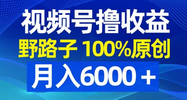 视频号野路子撸收益，100%原创，条条爆款，月入6000＋【揭秘】-源码天堂