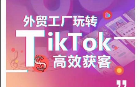 外贸工厂玩转TikTok高效获客，多种引流方式与账号定位技巧，拆解爆款短视频打造成功案例-源码天堂