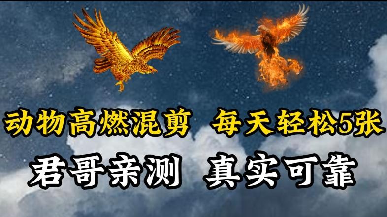 动物超燃混剪，每天轻松5张，剪辑简单大家爱看【揭秘】-源码天堂