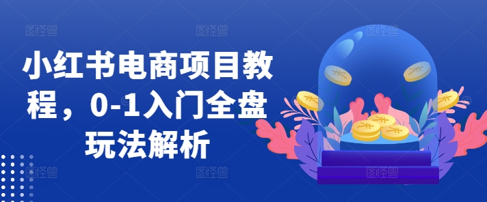 小红书电商项目教程，0-1入门全盘玩法解析-源码天堂