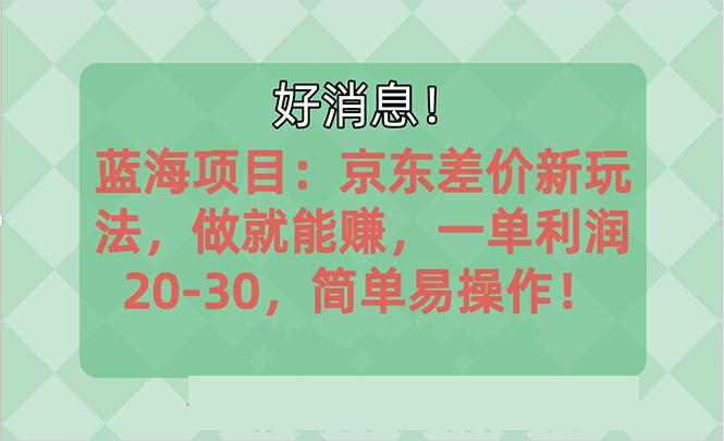越早知道越能赚到钱的蓝海项目：京东大平台操作，一单利润20-30，简单…-源码天堂
